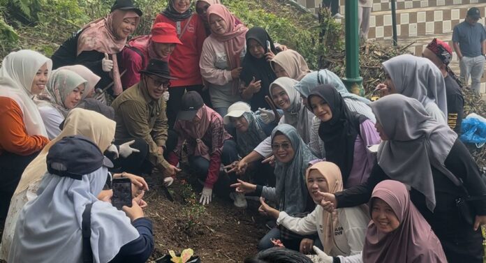 Wali Kota Alfin Instruksikan PKK Lanjutkan Penanaman Bunga di Taman Bungai Puti Senang